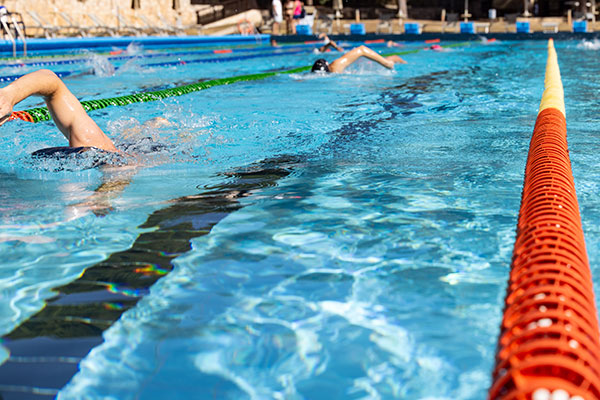 Groupe natation adultes intermédiaires